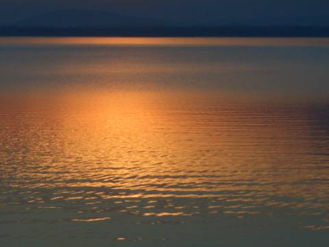 blog thumbnail